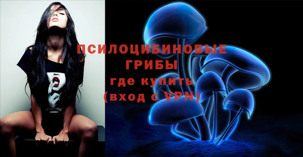 мдпв Волосово