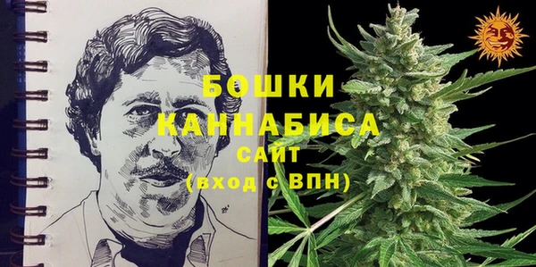 ECSTASY Александровское