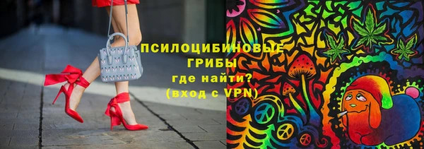 apvp Володарск