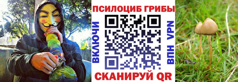 Псилоцибиновые грибы MAGIC MUSHROOMS  купить  сайты  darknet состав  Горбатов 