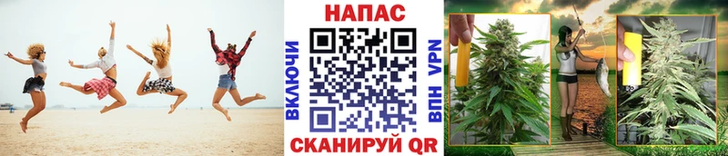 Канабис MAZAR Горбатов